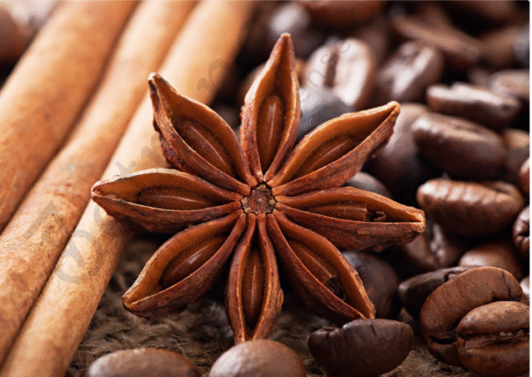 Star Anise