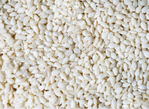 White Sesame Seeds